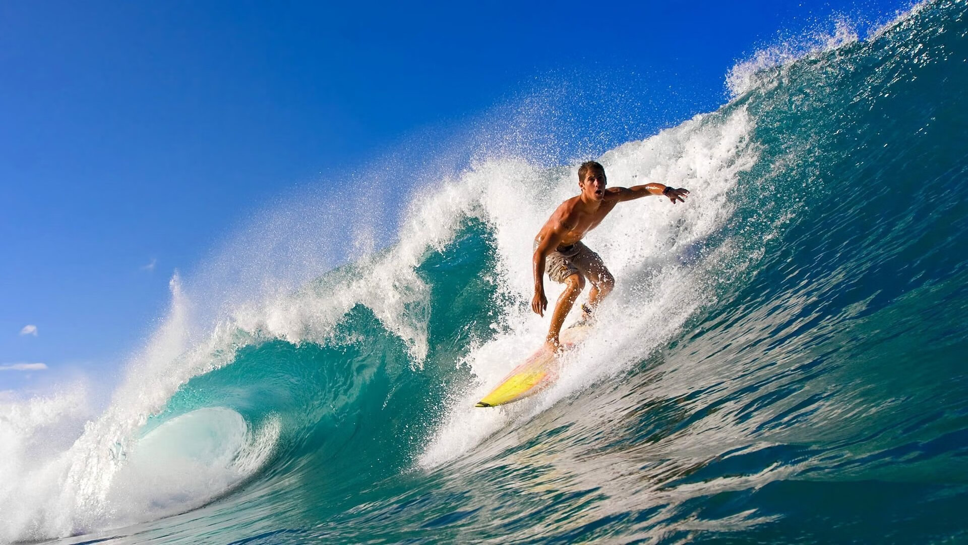 开云电竞服务-球员福利：生活中的精彩瞬间和感人故事